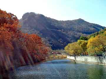 新澳天天开奖资料大全旅游团，火蓝刀锋 小说